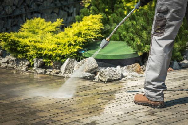 Best Solar Panel Cleaning  in Louisburg, KS