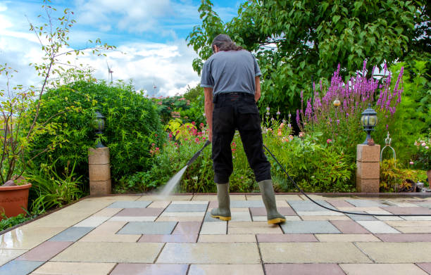 Best Fence Cleaning  in Louisburg, KS
